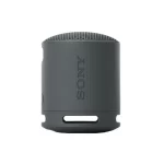 Sony SRS-XB100 - Speaker - for portable use - wireless - Bluetooth - App-controlled - black