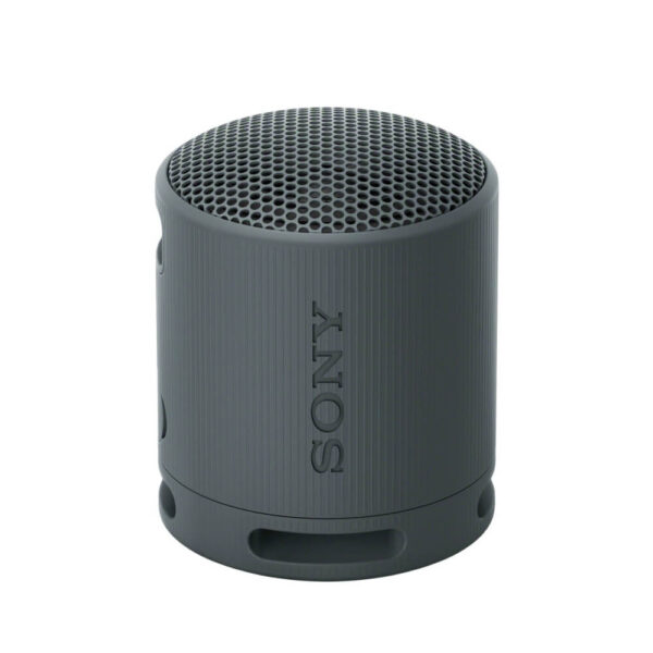 Sony SRS-XB100 - Speaker - for portable use - wireless - Bluetooth - App-controlled - black